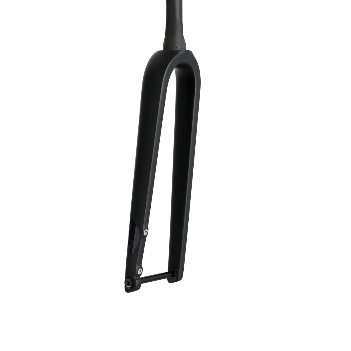 Columbus Fast Gravel fork, rear view