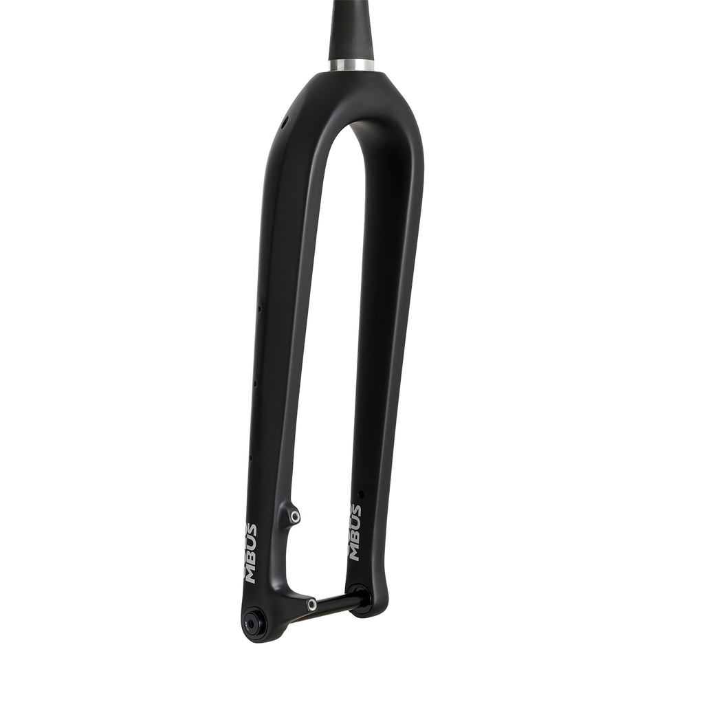 Columbus Futura Adventure fork, rear view