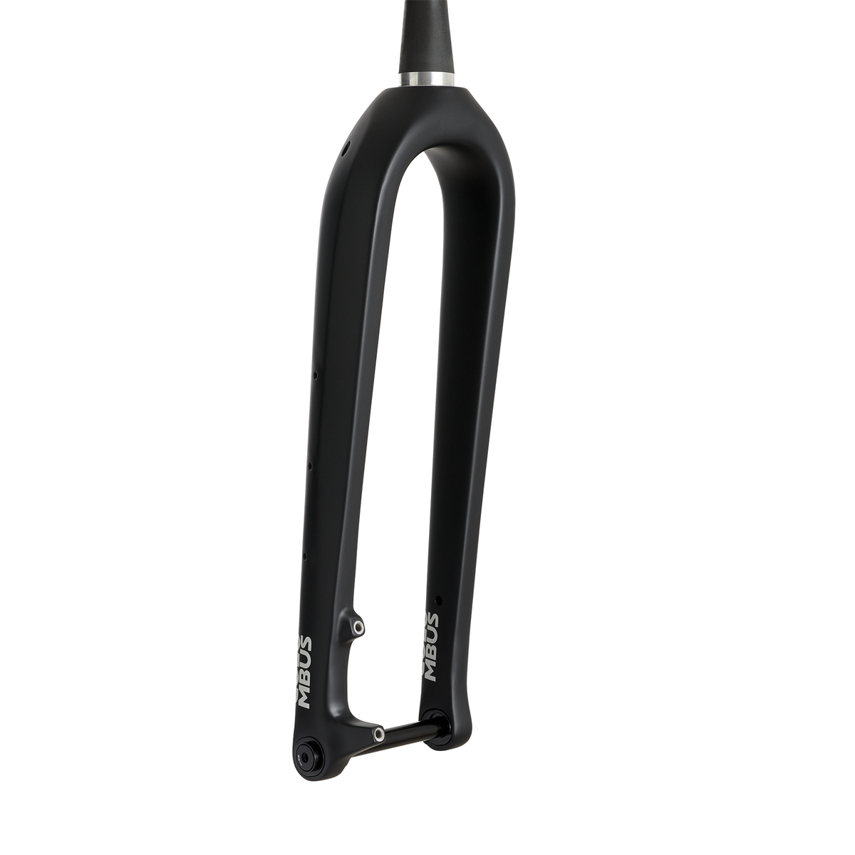 Columbus Futura Adventure fork, rear view