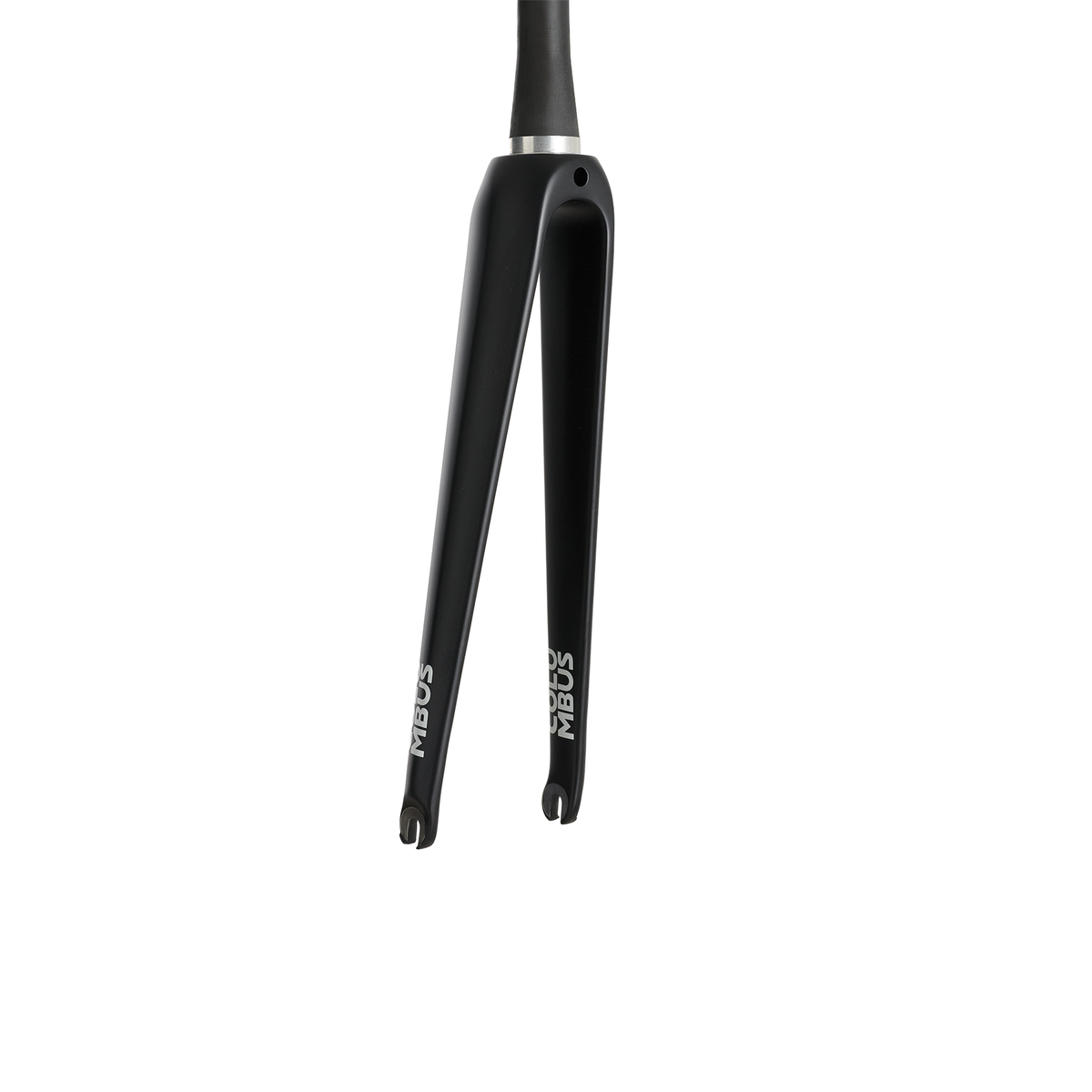 Columbus Futura Caliper 1-1/2 inch fork, rear view