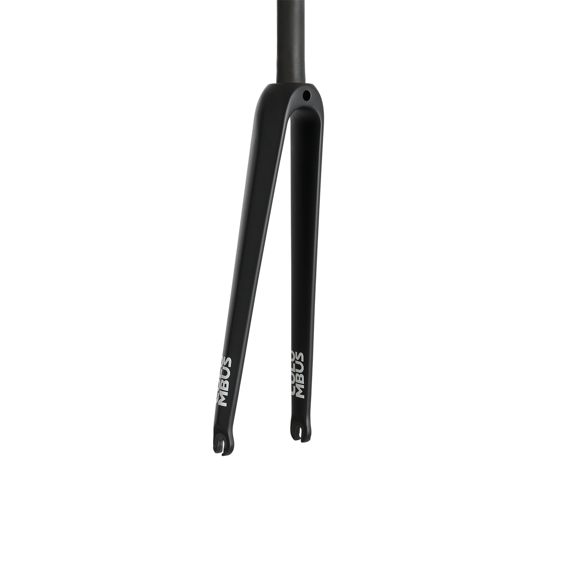 Columbus Futura Caliper SL fork, rear view