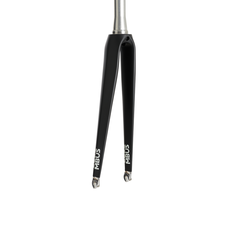 Columbus Pista Leggera fork, rear view